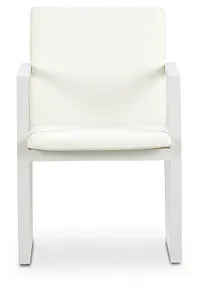 Linear White Aluminum Arm Chair