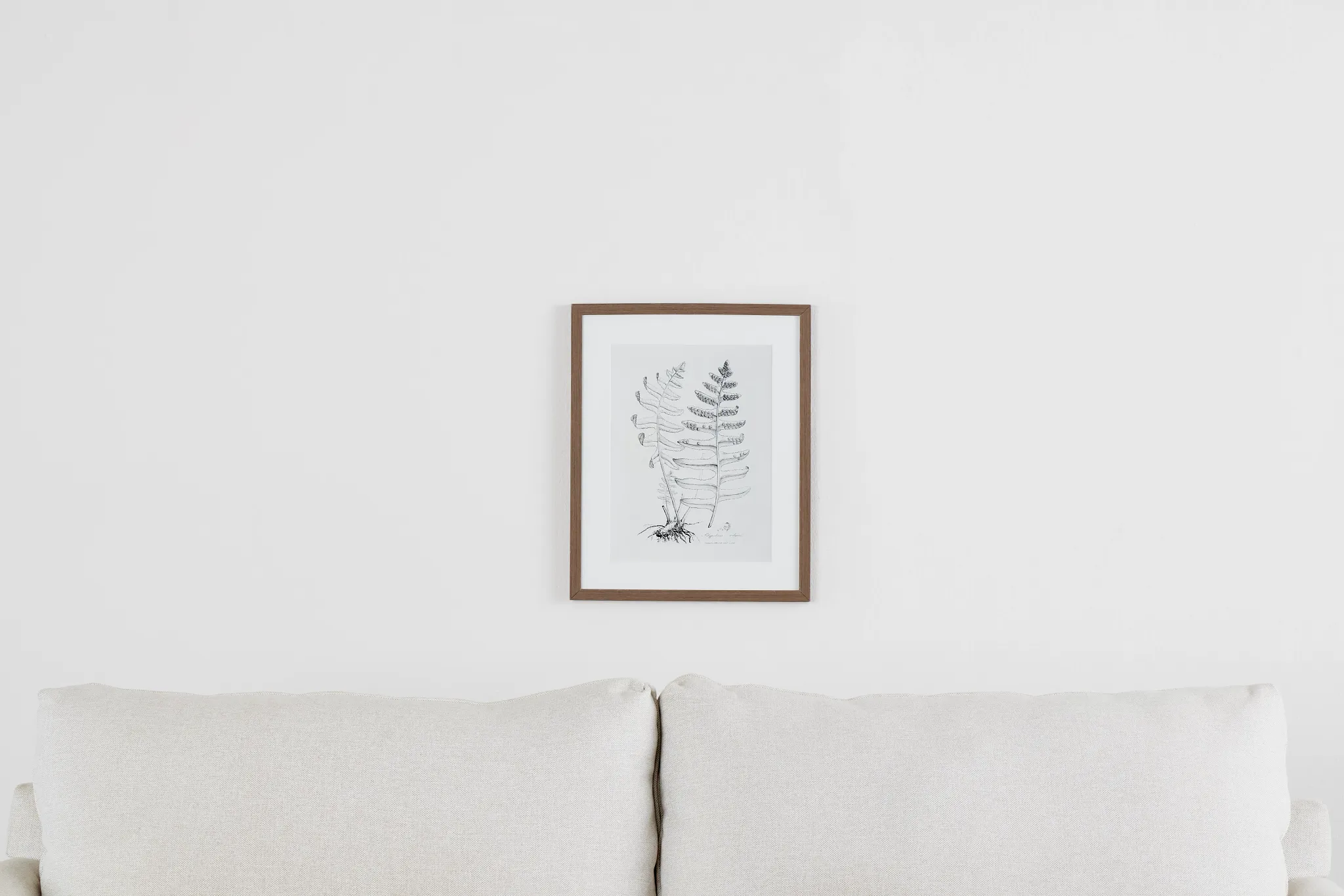 Foliole Gray Framed Wall Art