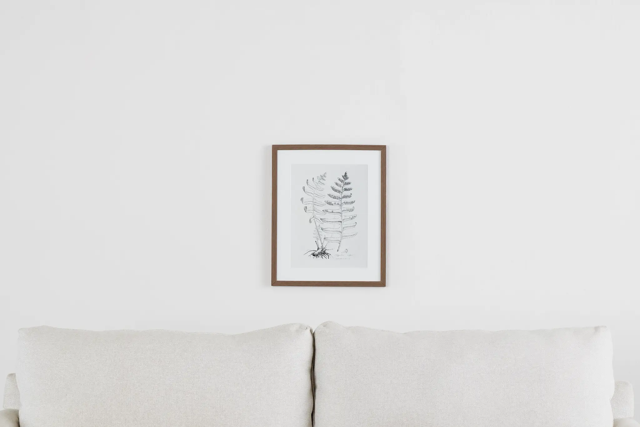 Foliole Gray Framed Wall Art Foliole Gray Framed Wall Art