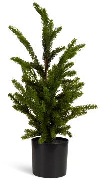 Pine 22" Tree