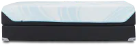 Tempur-pedic Tempur-probreeze Medium Mattress Set