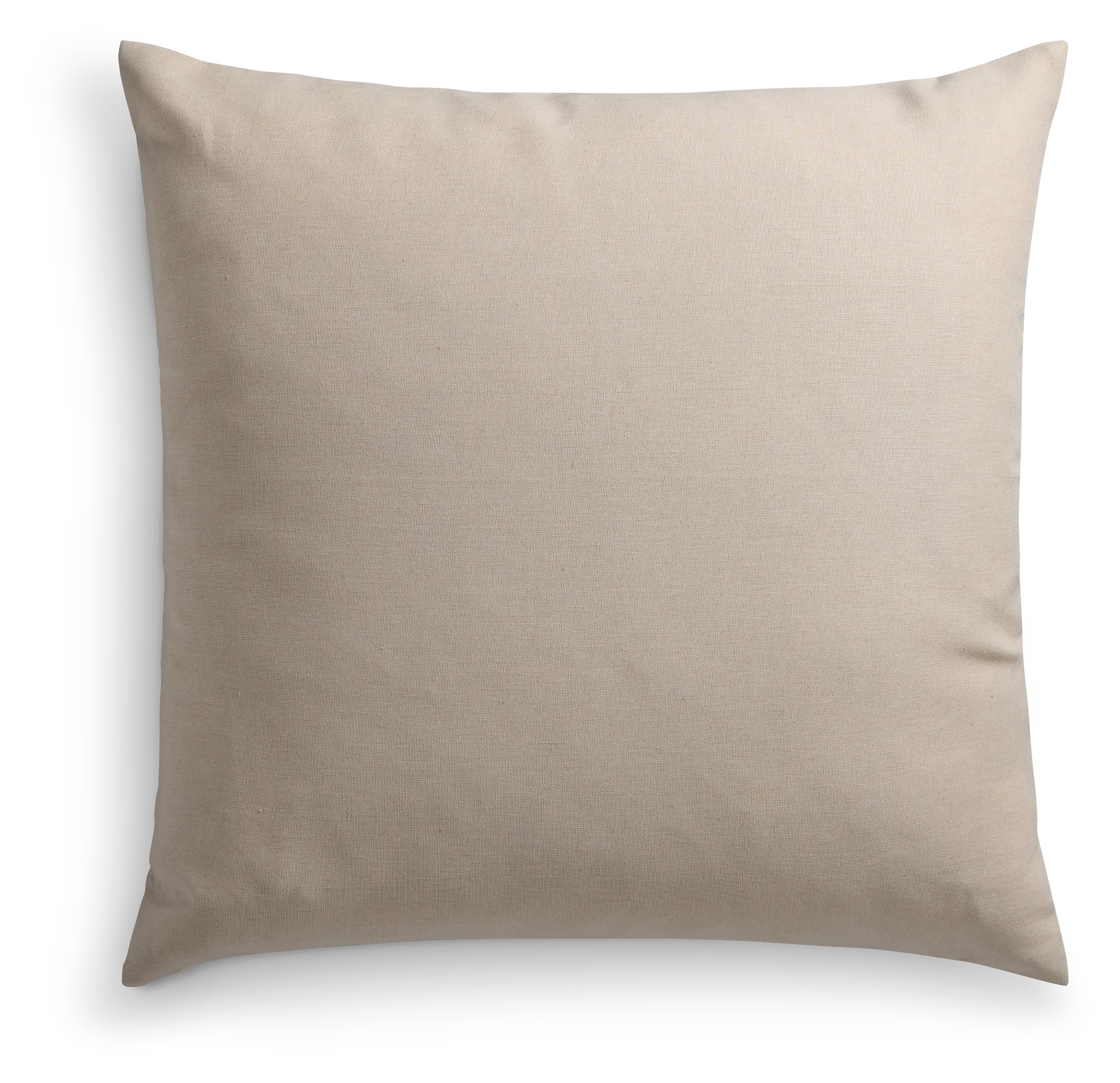 Embrace Ivory 20" Square Accent Pillow