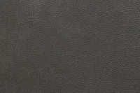 Jayden Gray Micro Power Recliner