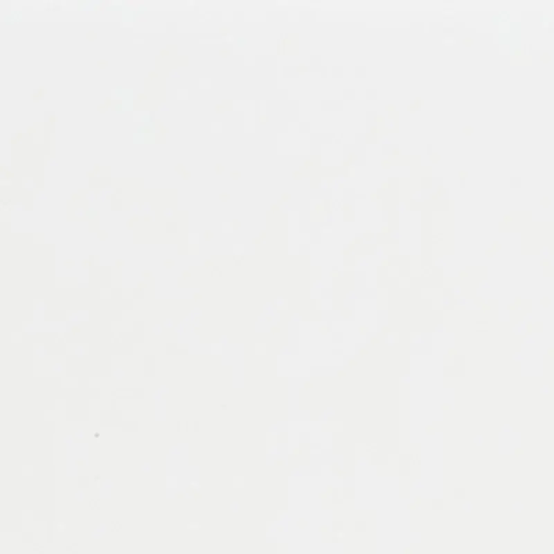 SILVER Reese Silver Box