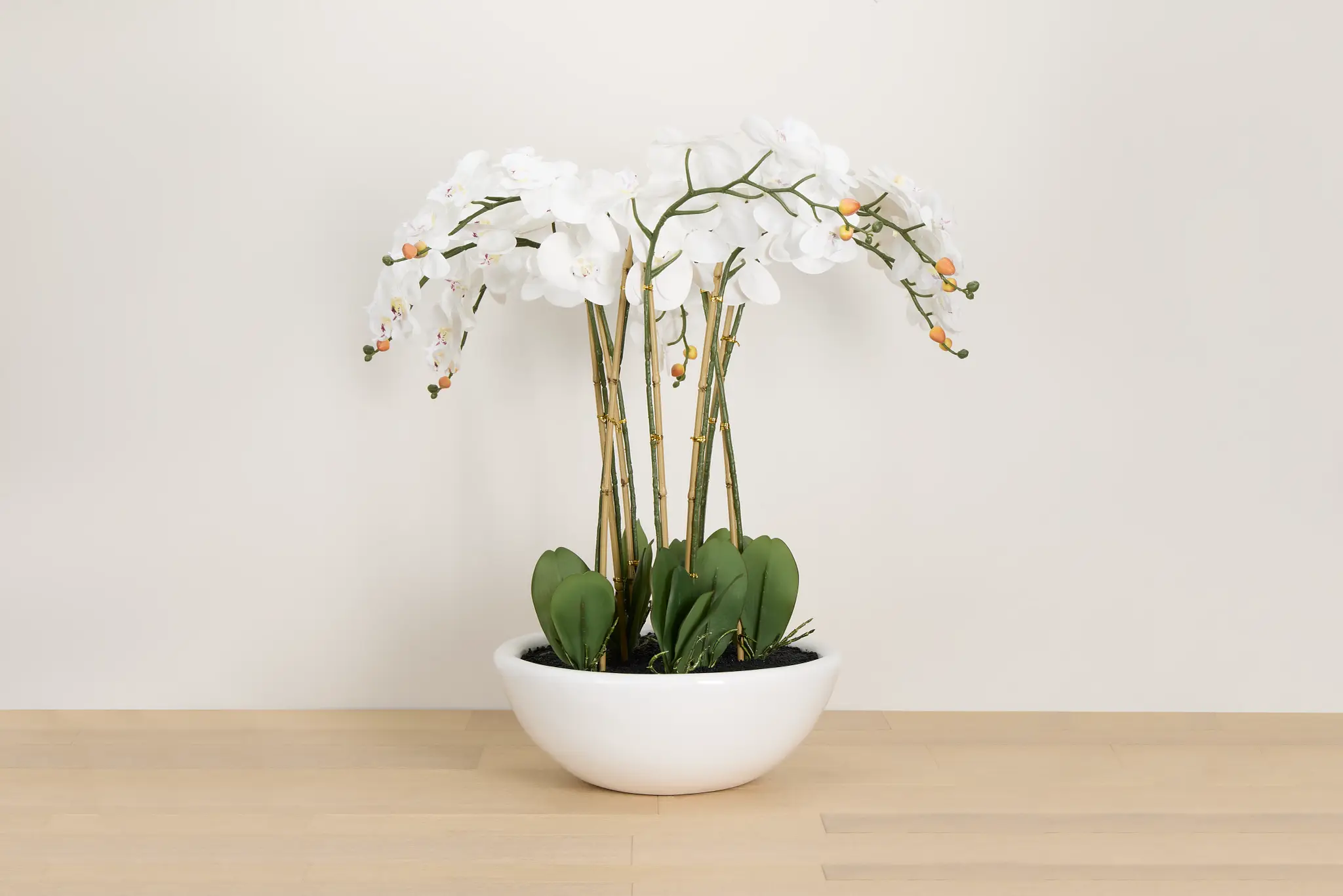 Orchid White Floral