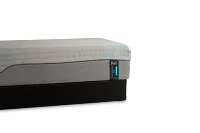 Rest & Renew Performance Pro Firm Mattress Set