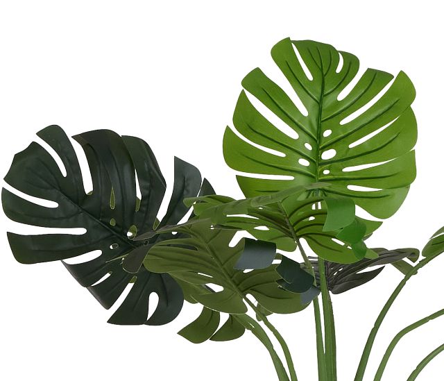 Monstera Deliciosa 51" Greenery