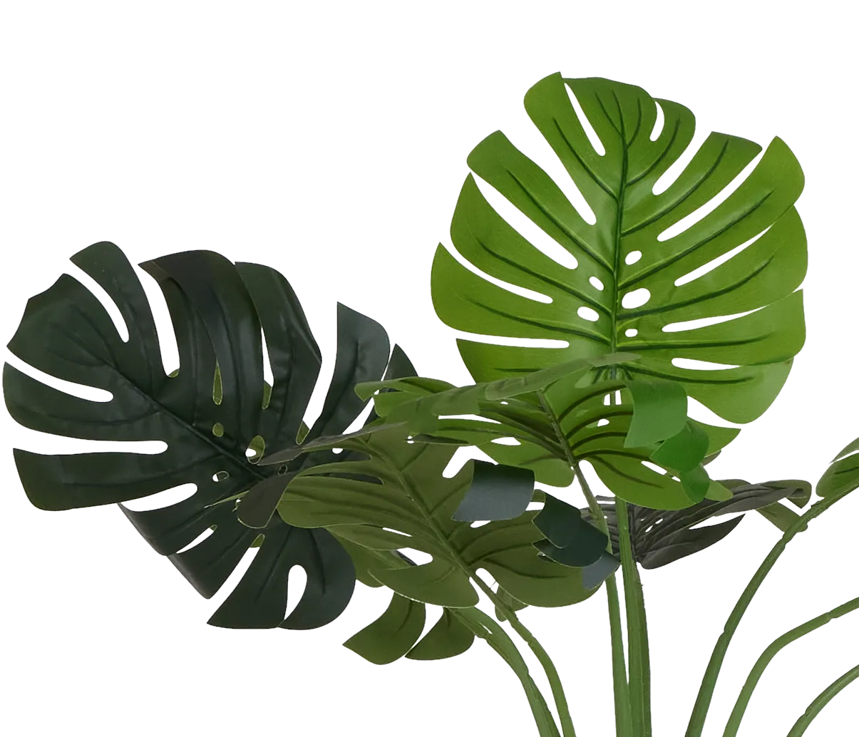 Monstera Deliciosa 51" Greenery