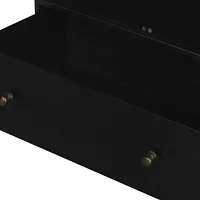 Four Hands Jilan Black Curio Cabinet