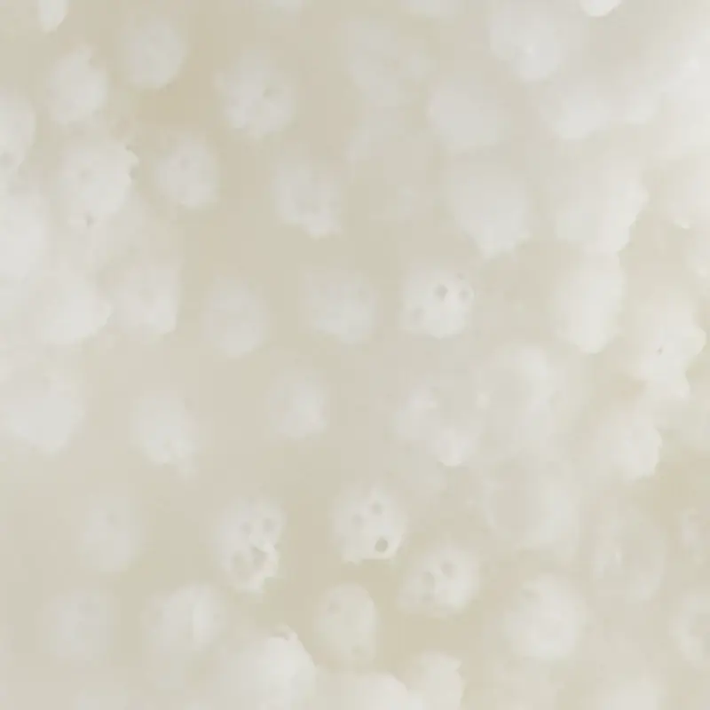 WHITE Crawford White Sculpture