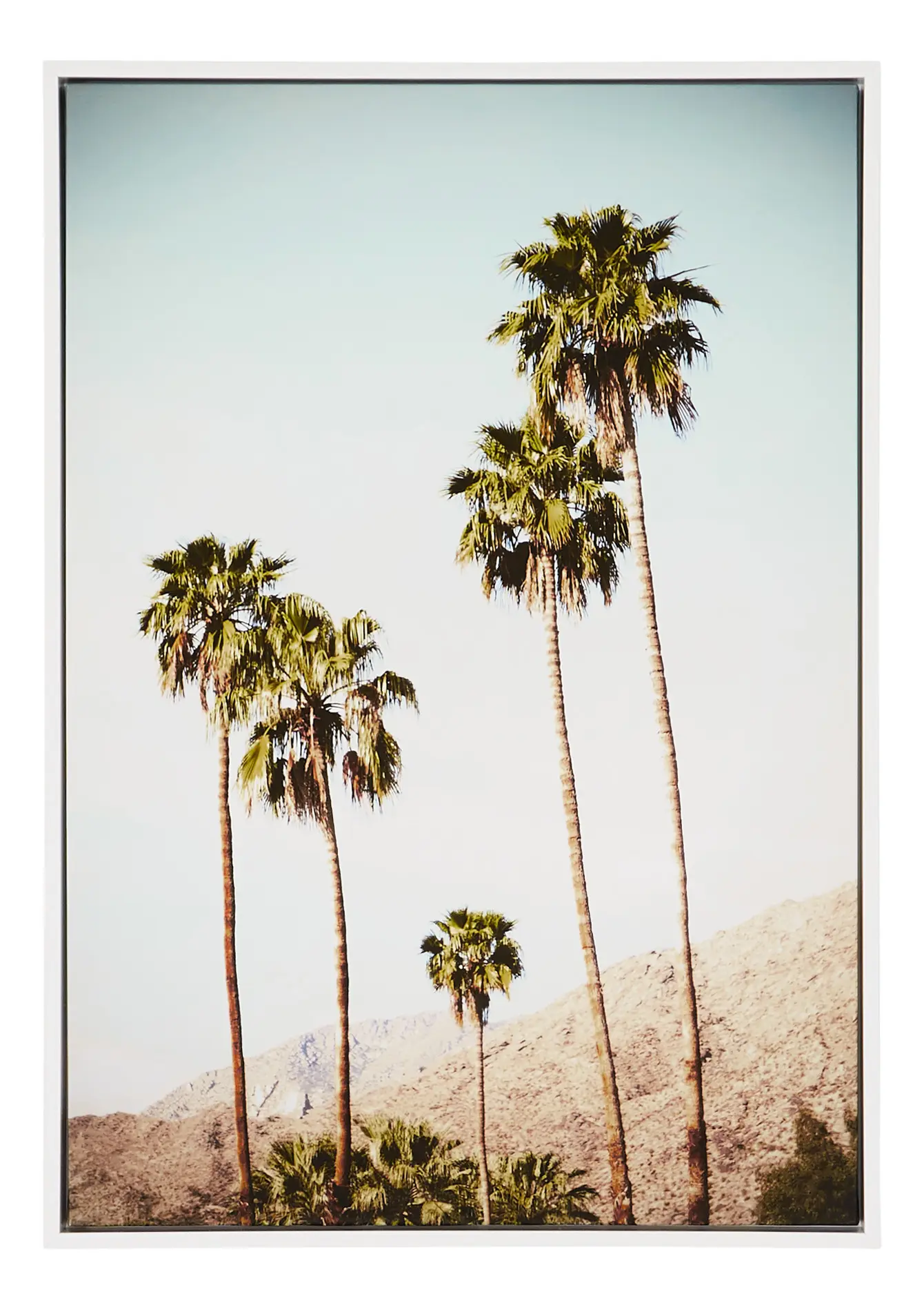 Trees Light Blue Canvas Wall Art Trees Light Blue Canvas Wall Art