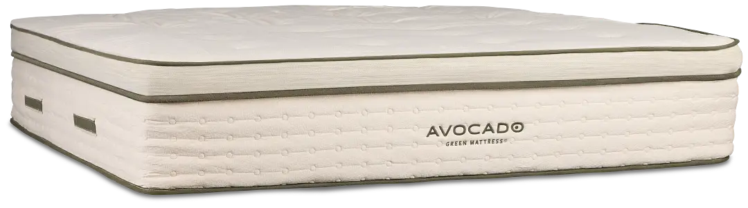 Avocado Green 15.50" Plush Box Top Mattress Avocado Green 15.50" Plush Box Top Mattress
