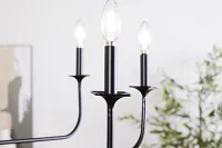 Teagan Black Chandelier