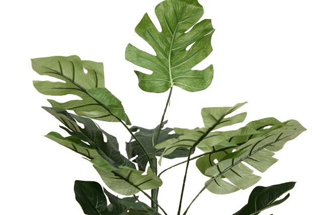 Split Philo 3' Greenery