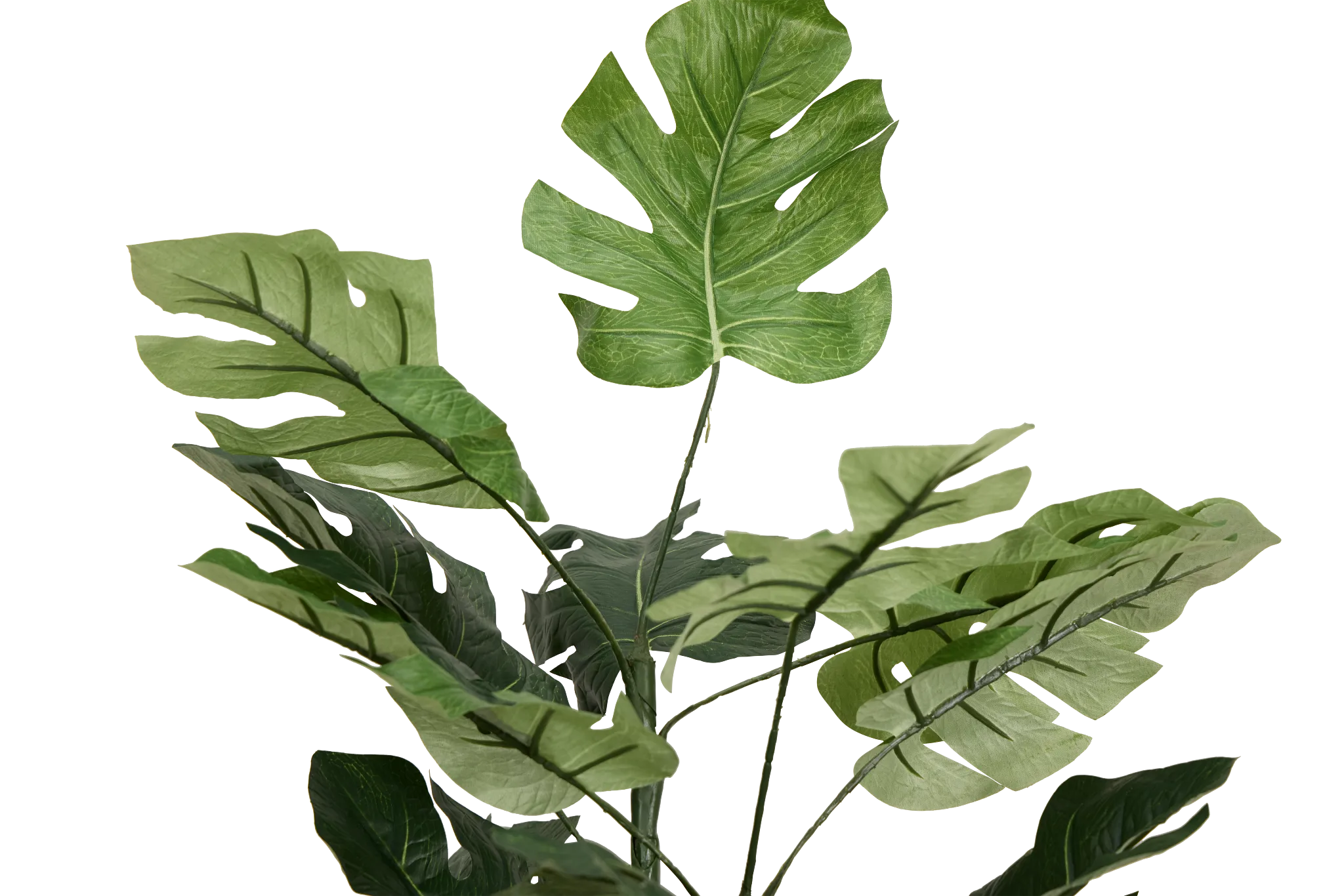 Split Philo 3' Greenery