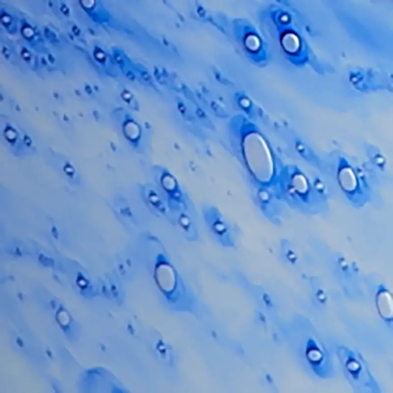 Multicolored Multicolored