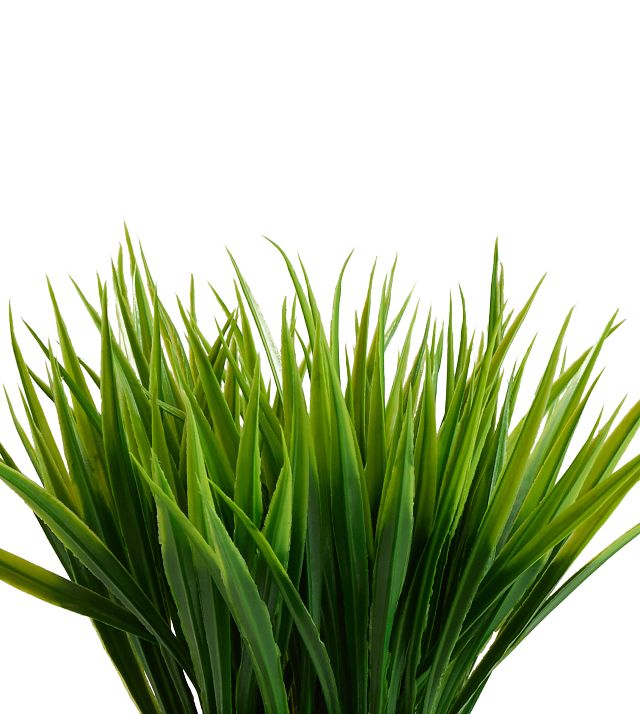 Water 12.5" Grass