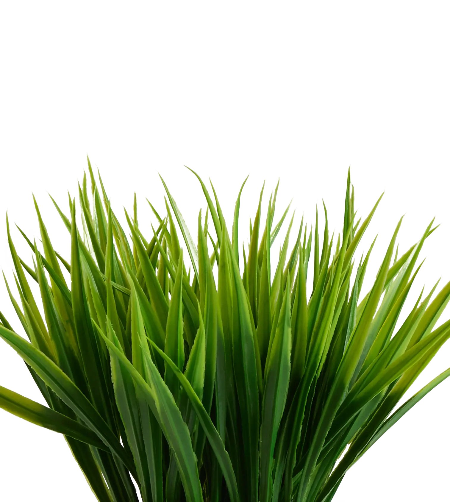 Water 12.5" Grass Water 12.5" Grass