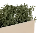 Cactus 21" Green Succulent