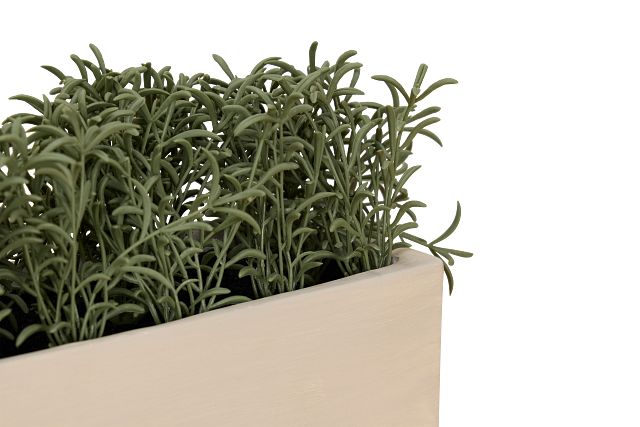 Cactus 21" Green Succulent