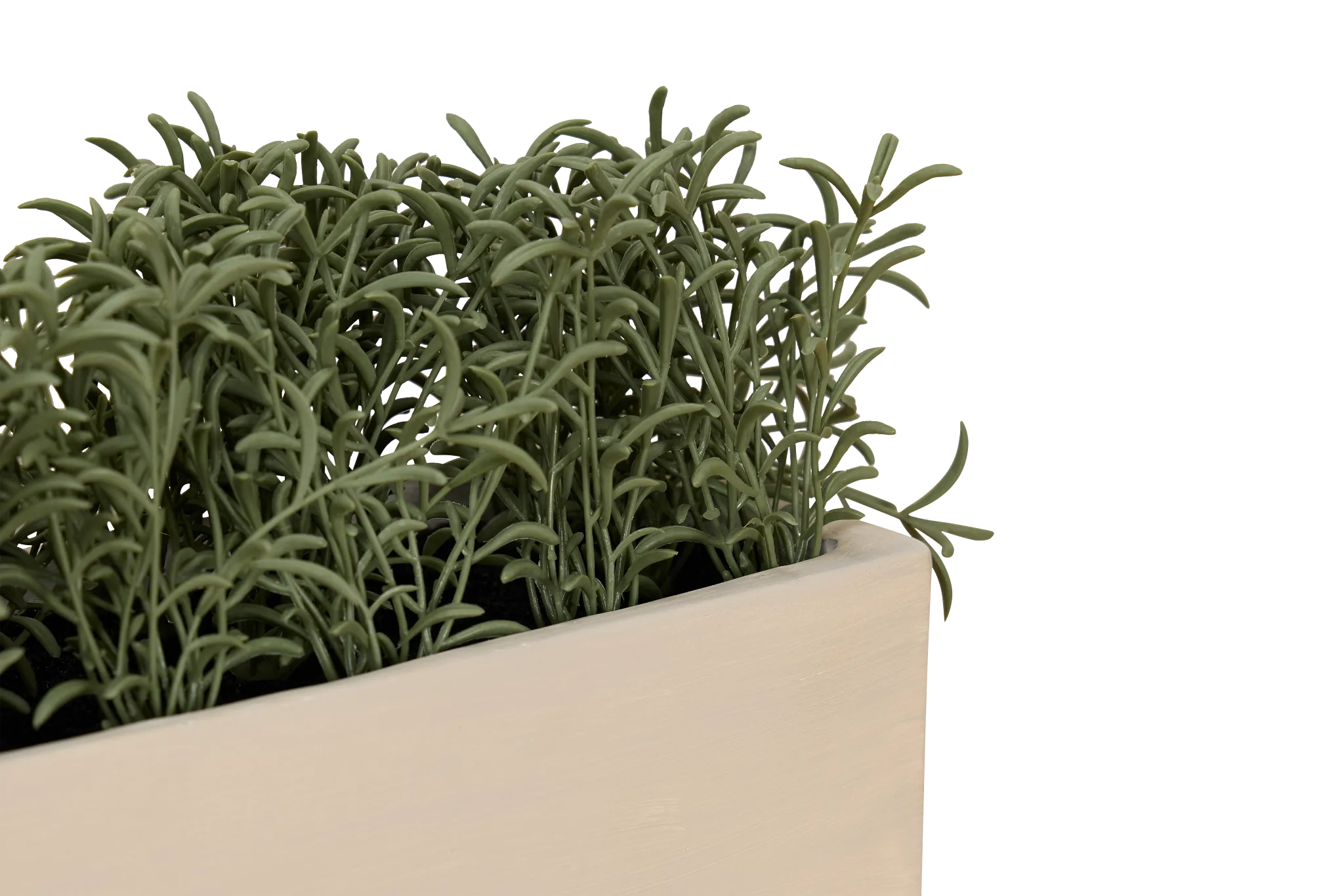 Cactus 21" Green Succulent