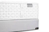 Aireloom Timeless Odyssey Streamline Firm Mattress Set