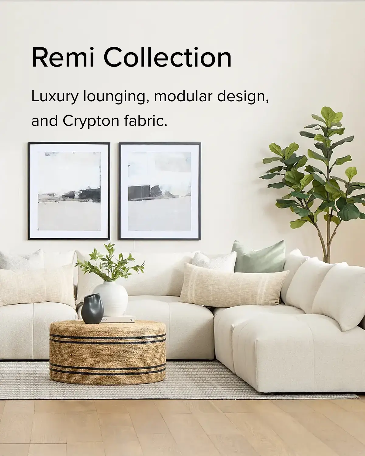 MAR15444-0726-0206-NewArrivals-RemiColl-ECB-XLG.jpg MAR15444-0726-0206-NewArrivals-RemiColl-ECB-XLG.jpg