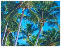 Palms2 Multicolored Acrylic Wall Art