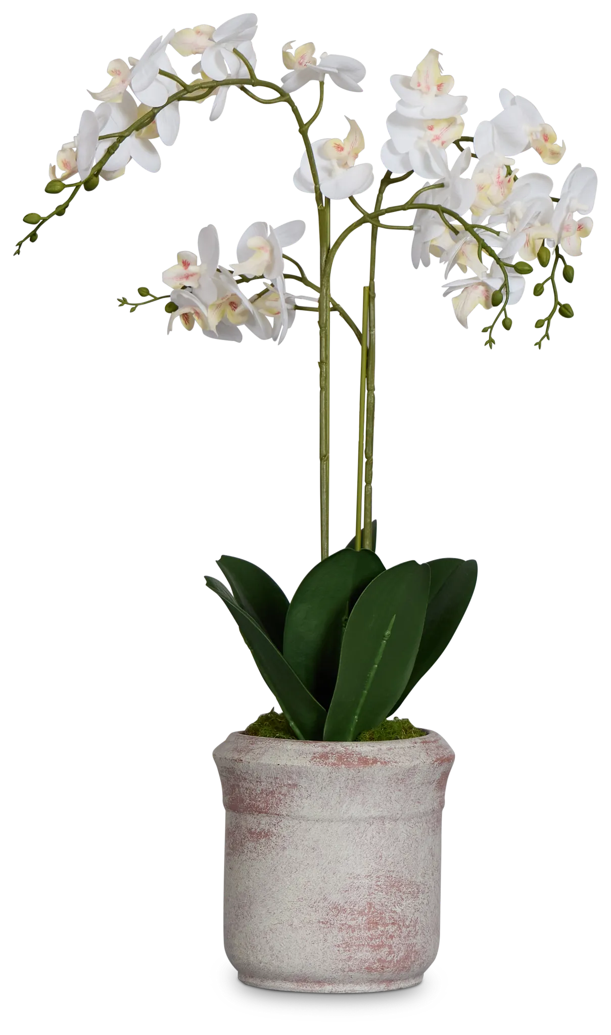Orchid White 24" Floral Arrangement