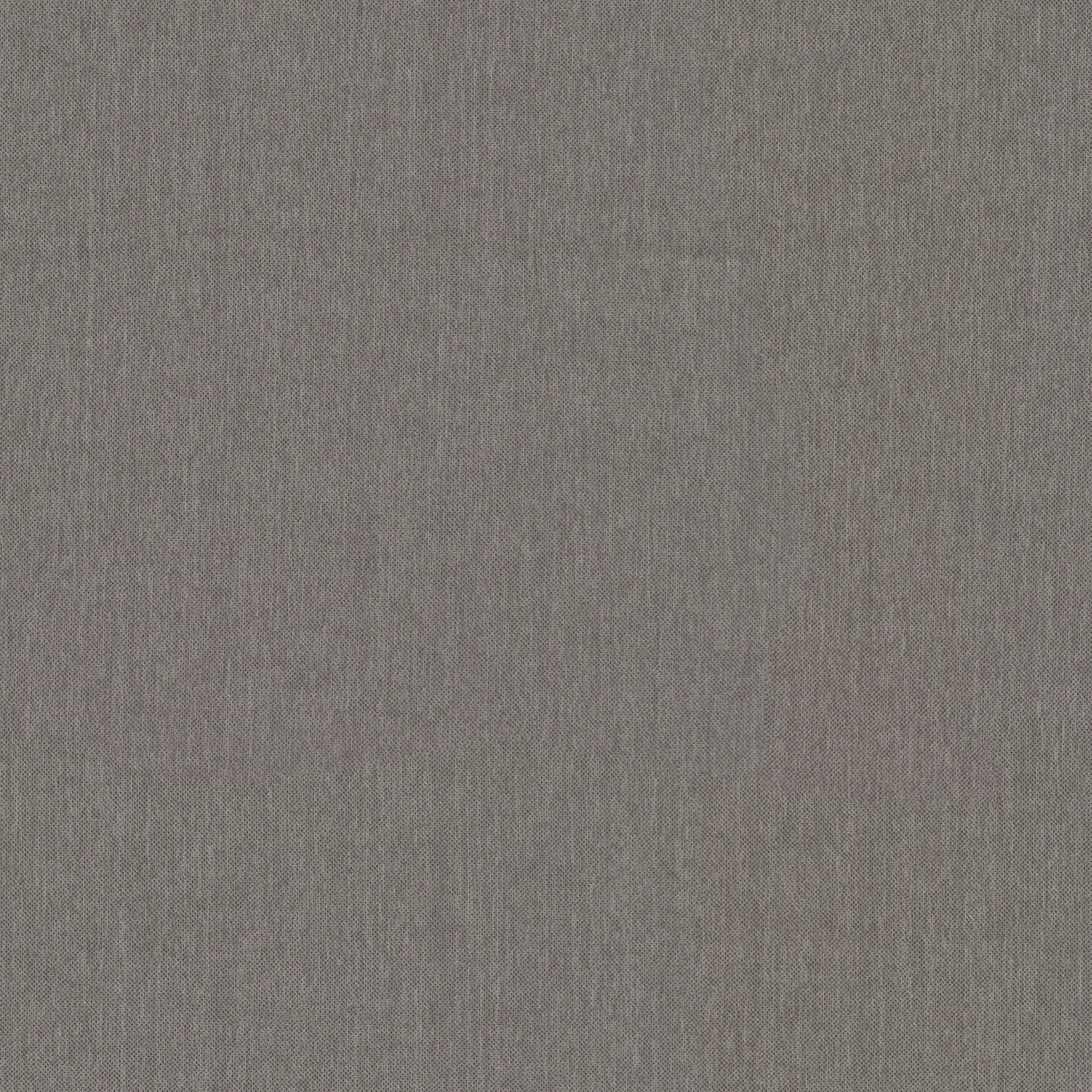 Captiva Peyton Gray 48" Upholstered Shelter Bed