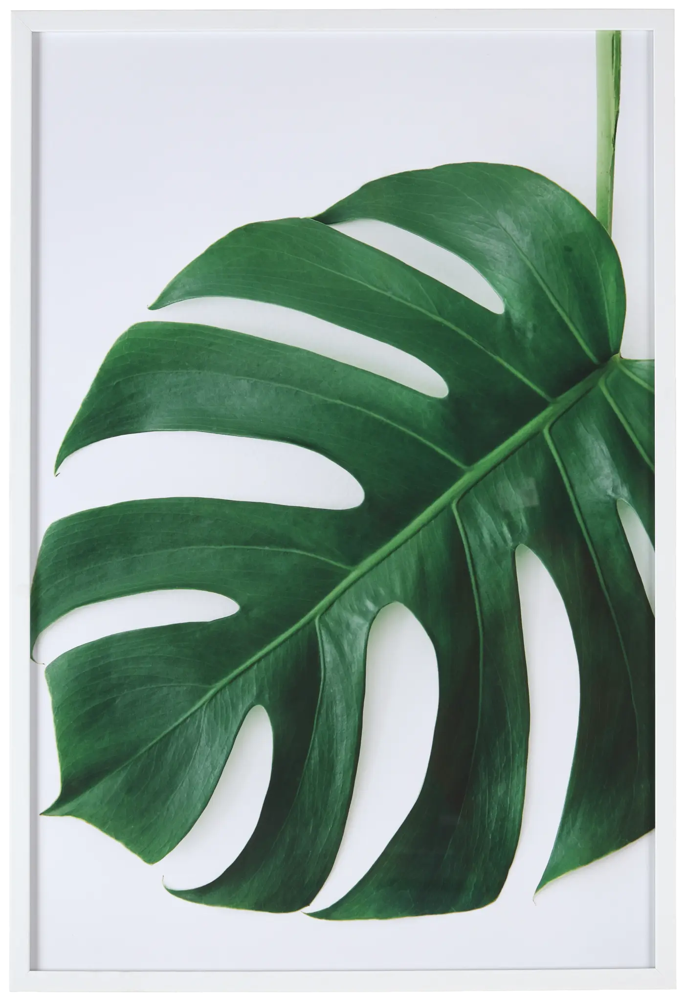 Ivy Green Framed Wall Art Ivy Green Framed Wall Art