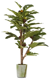 Jaxson Small Cement Olive Tree