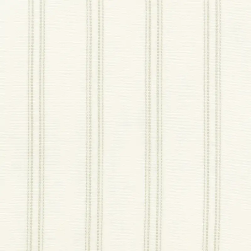 Light Green Light Green