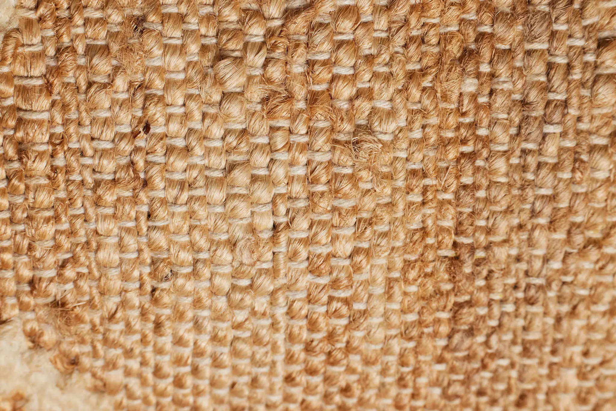 Light Brown Light Brown