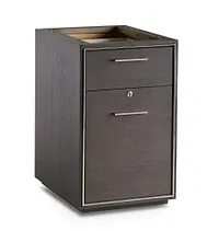 Highline Dark Tone Small File Cabinet