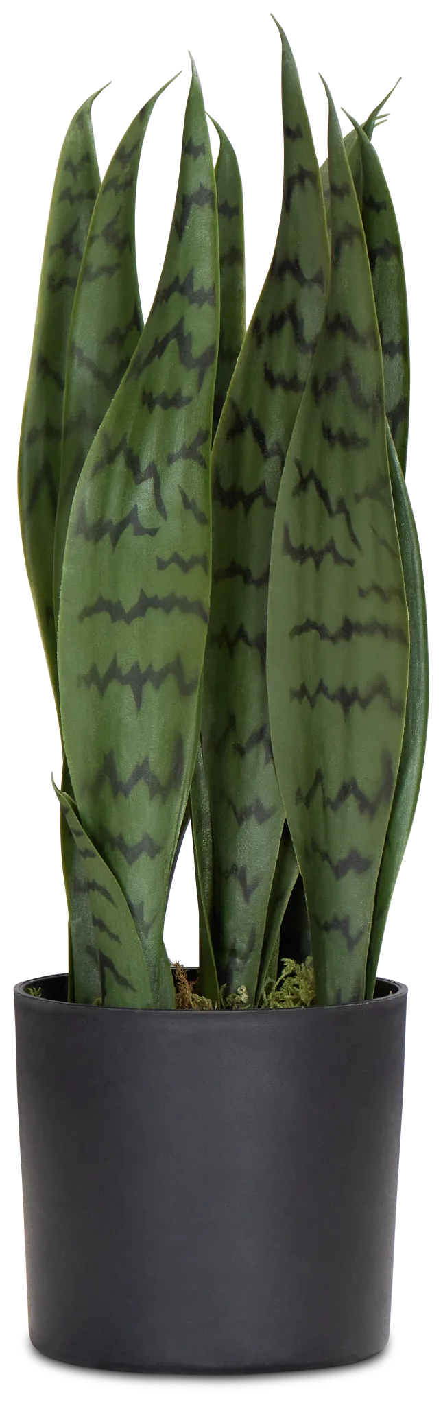 Abram Green 15" Greenery