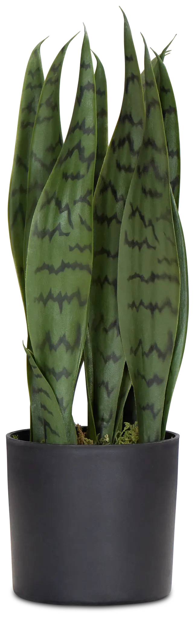Abram Green 15" Greenery Abram Green 15" Greenery
