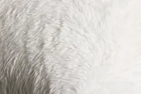 Yakety Yak White 22" Square Accent Pillow