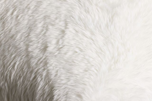 Yakety Yak White 22" Square Accent Pillow