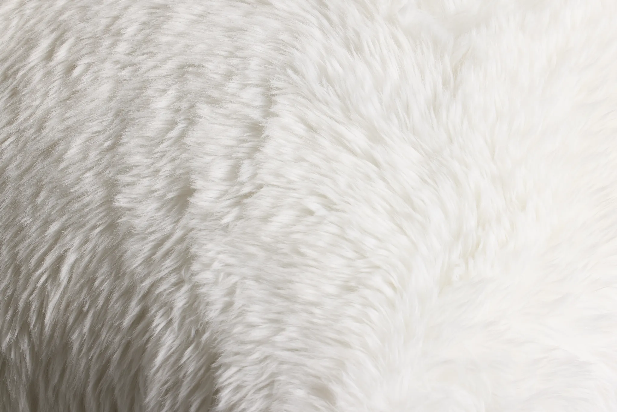 Yakety Yak White 22" Square Accent Pillow