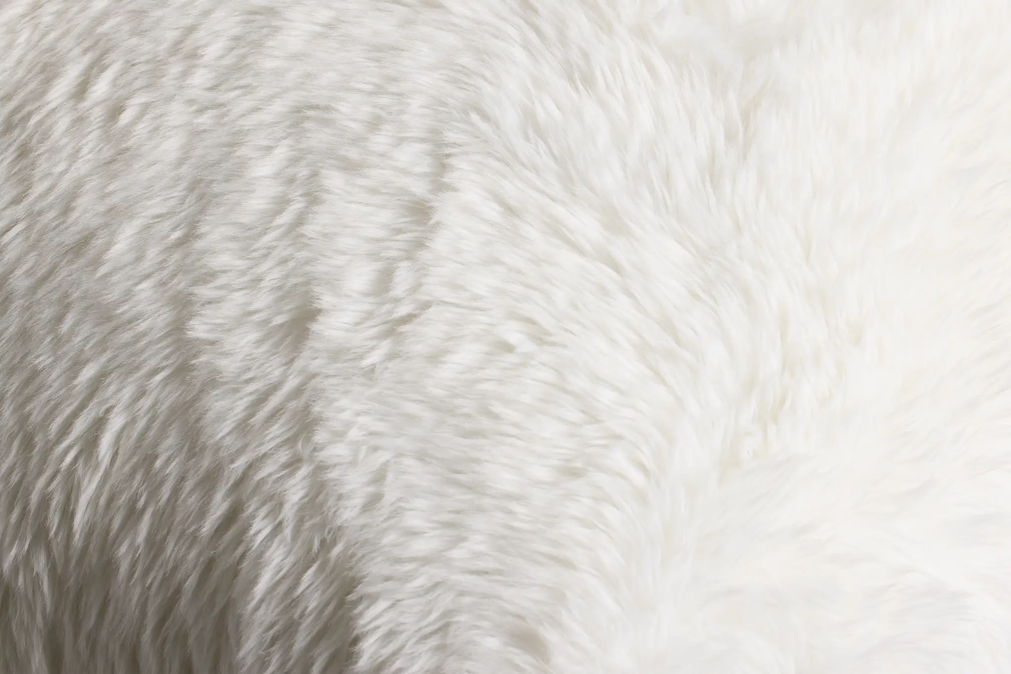 Yakety Yak White 22" Square Accent Pillow Yakety Yak White 22" Square Accent Pillow
