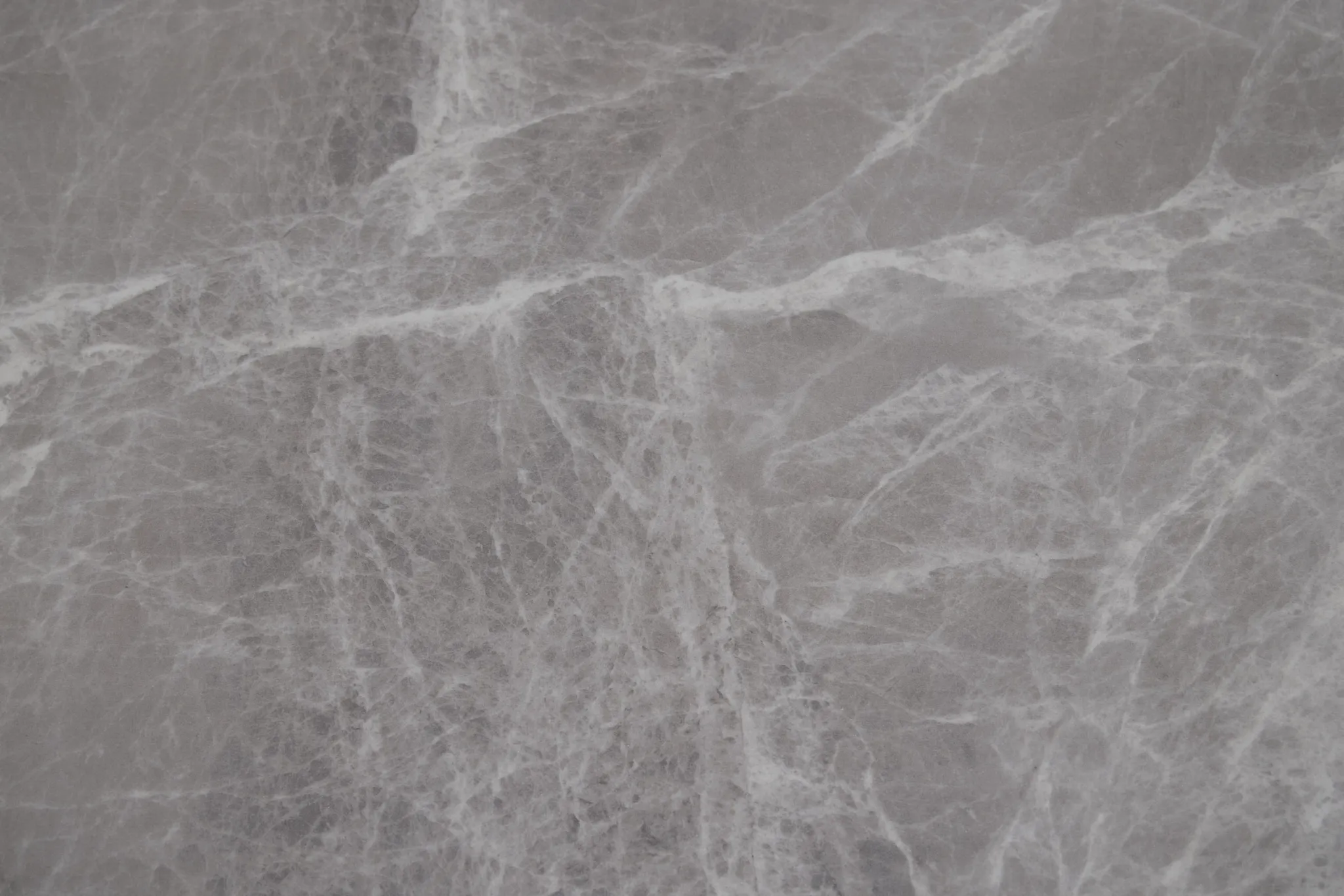 Maricopa Gray Extension Table & 4 Light Gray Upolstered Chairs