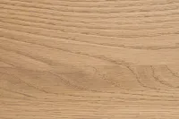 Carolina Light Tone Poster Bed