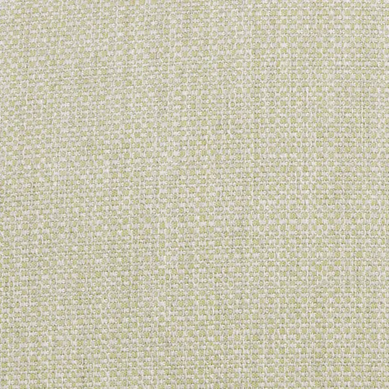 Light Green Light Green