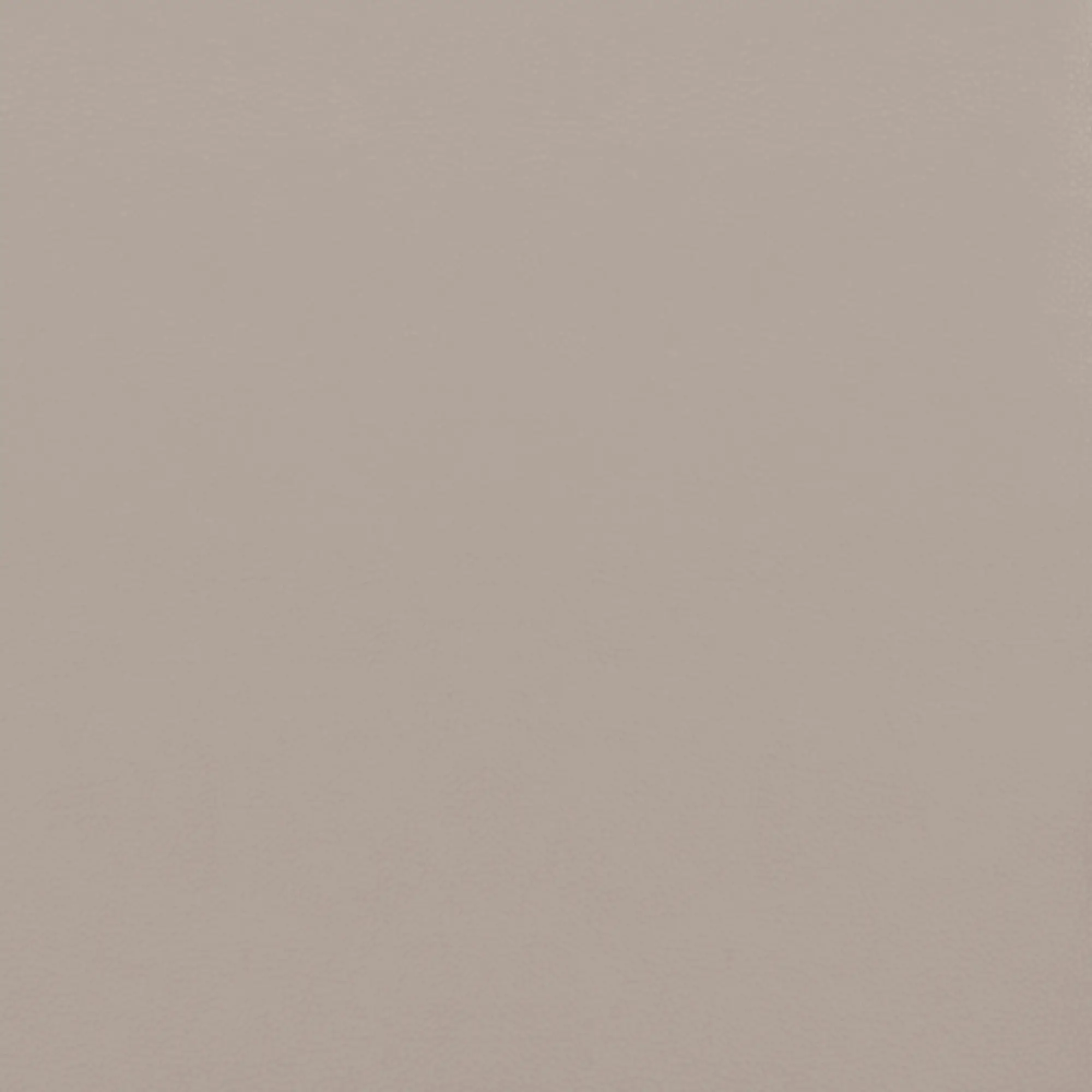 Taupe Taupe