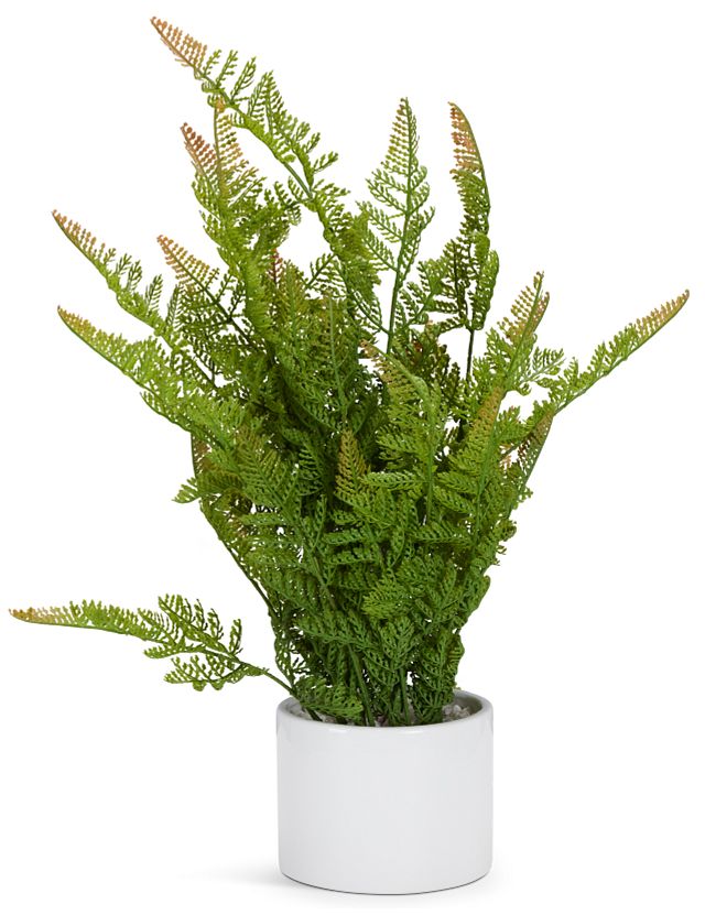 Lemon Button Fern 24" Greenery