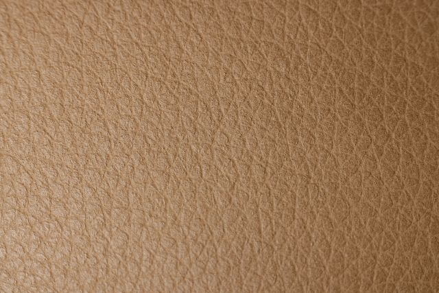 Tessa Light Brown Leather Loveseat
