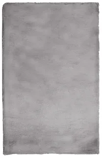 Kaycee Dark Gray 4x6 Area Rug