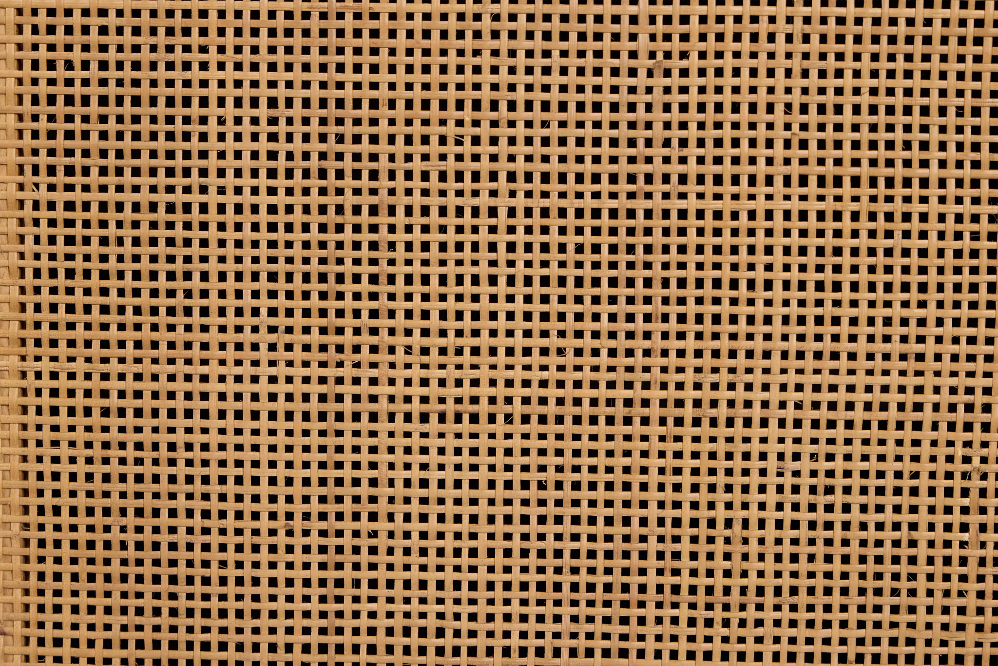 Pacific Black Arched Bookcase