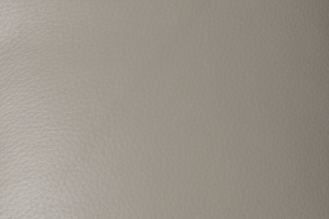 Eclipse Light Gray Lthr/vinyl Power Recliner